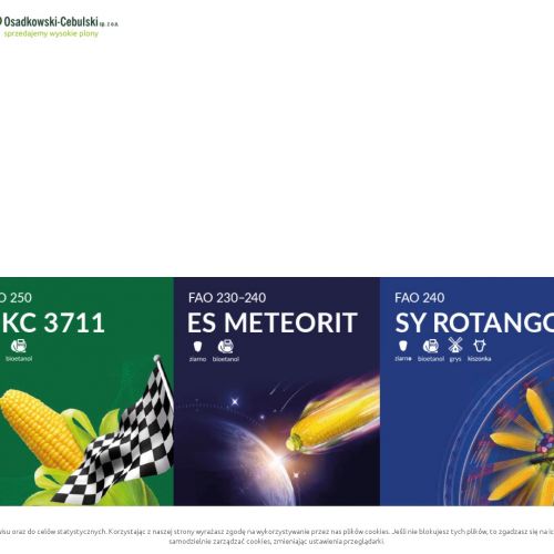 Zielona Góra - nasiona rzepaku sklep