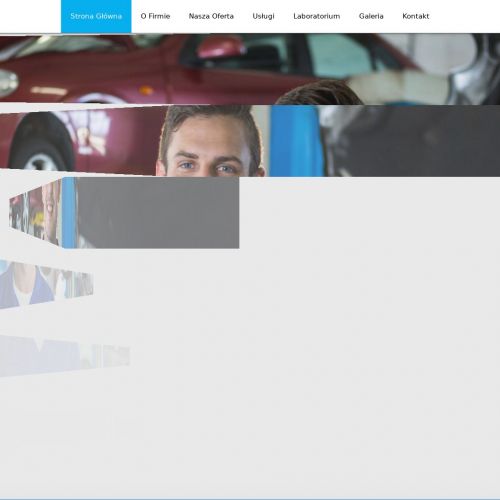 Naprawa wtryskiwaczy mercedes - Opole