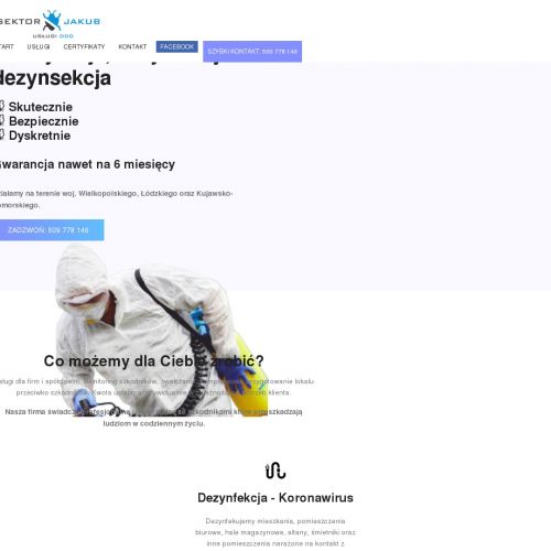 Łódź - oczyszczanie pomieszczeń z insektów