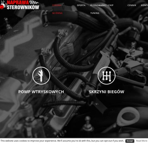 Sterownik pompy wtryskowej - Kraków