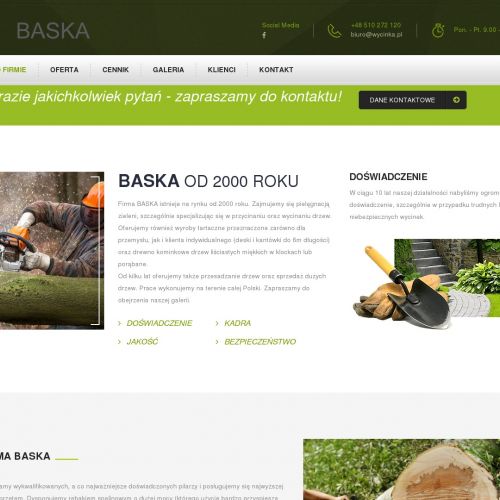 Dąbrowa Górnicza - wycinka drzew