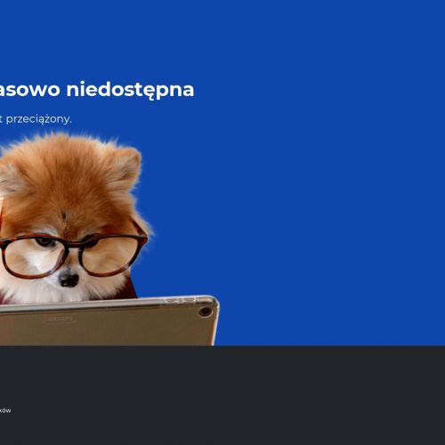 Usuwanie karaluchów Warszawa