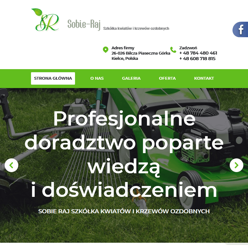 Sadzonki kwiatów balkonowych w Kielcach